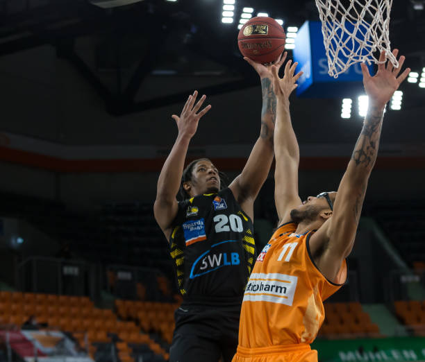 他们展现了 他们展现了